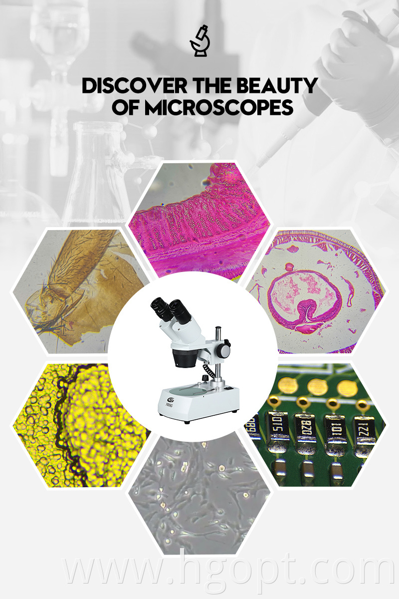 Competitive Price Stand Step Stereo Microscope